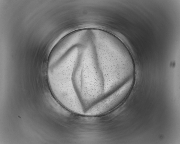 X0000112861244200909111501