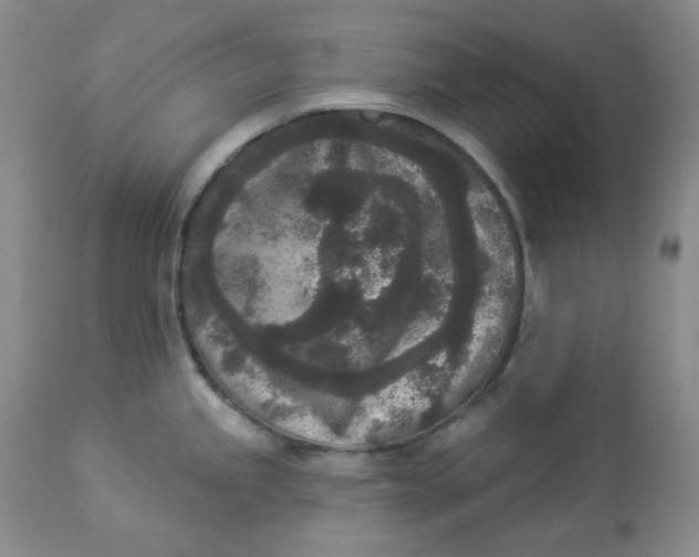 X0000112861245200909111501