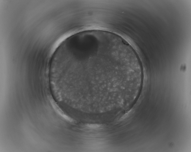 X0000112861246200909111501