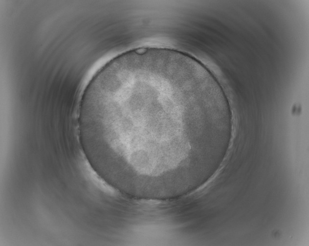 X0000112861248200909111501