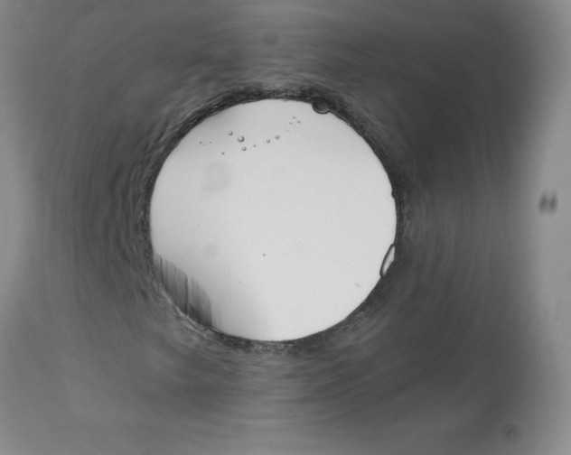 X0000112861249200909111500