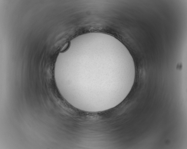 X0000112861250200909111500