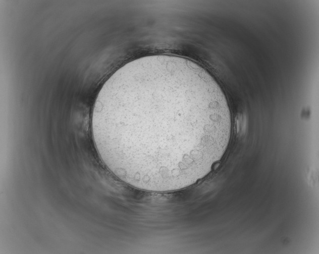 X0000112861251200909111500