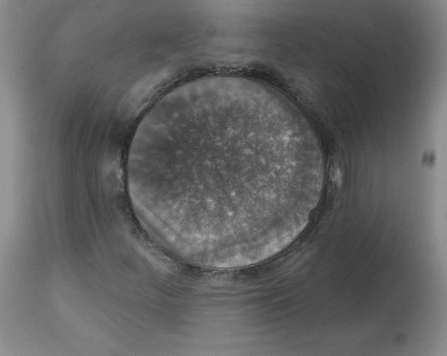 X0000112861252200909111500