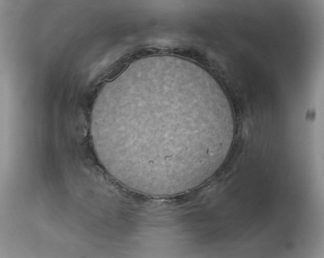 X0000112861253200909111500