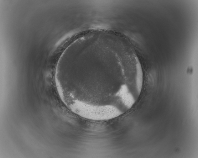 X0000112861254200909111500