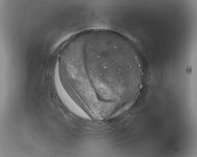 X0000112861255200909111500