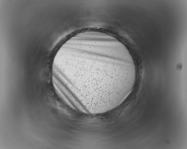 X0000112861256200909111500