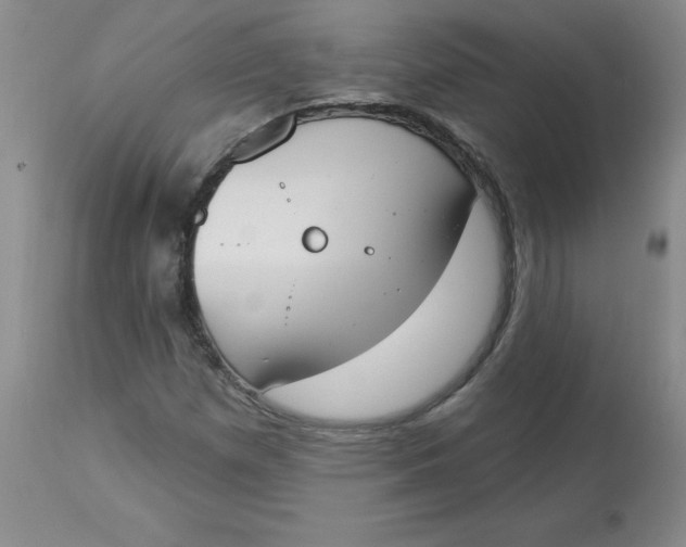 X0000112861257200909111500