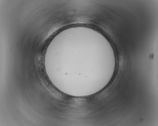 X0000112861258200909111500