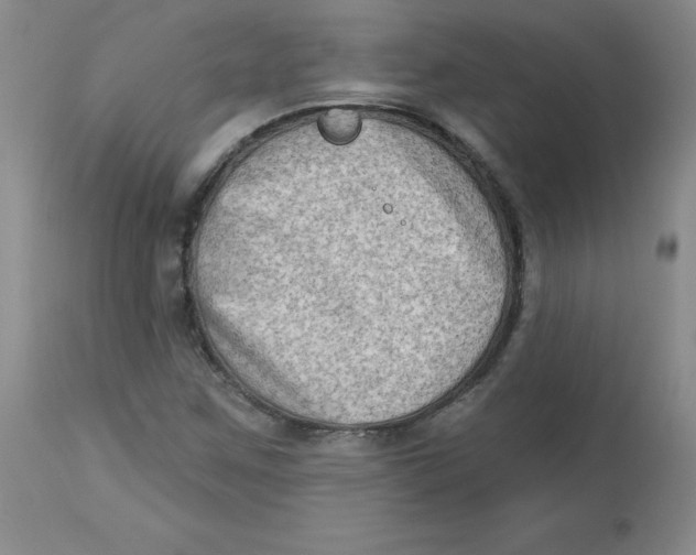 X0000112861259200909111500