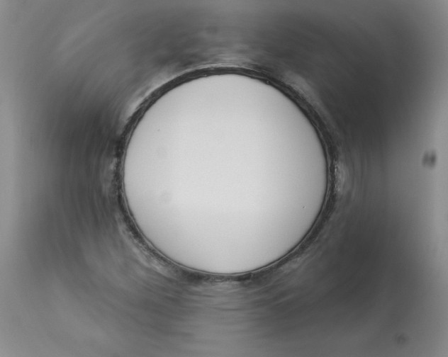 X0000112861260200909111500