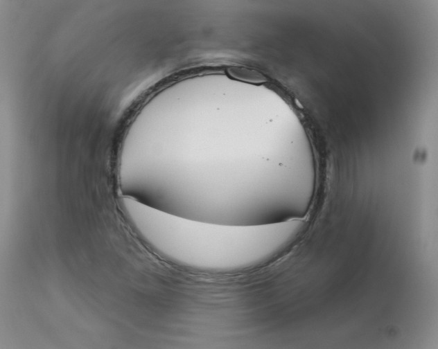 X0000112861261200909111500