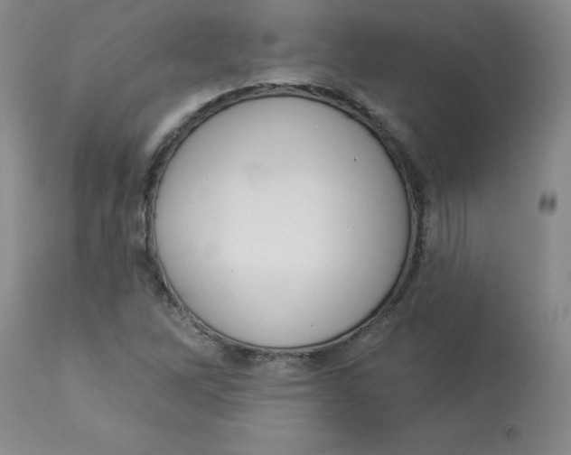 X0000112861262200909111500