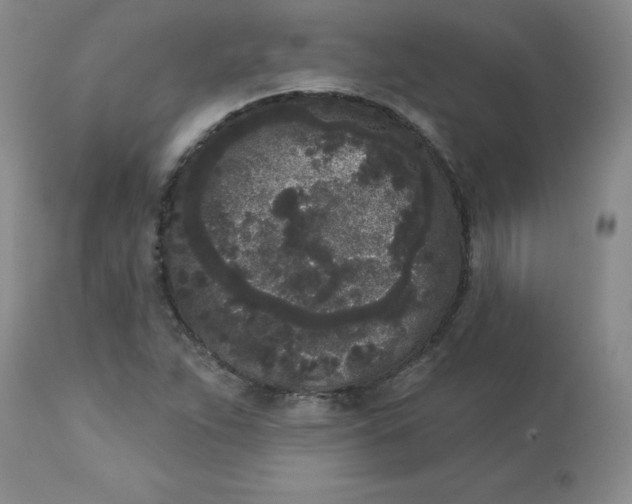 X0000112861263200909111500