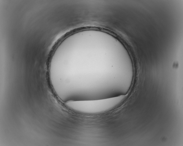 X0000112861264200909111500