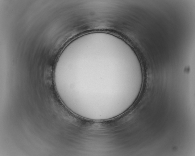 X0000112861265200909111500