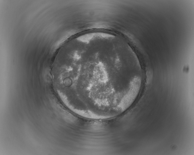 X0000112861266200909111500