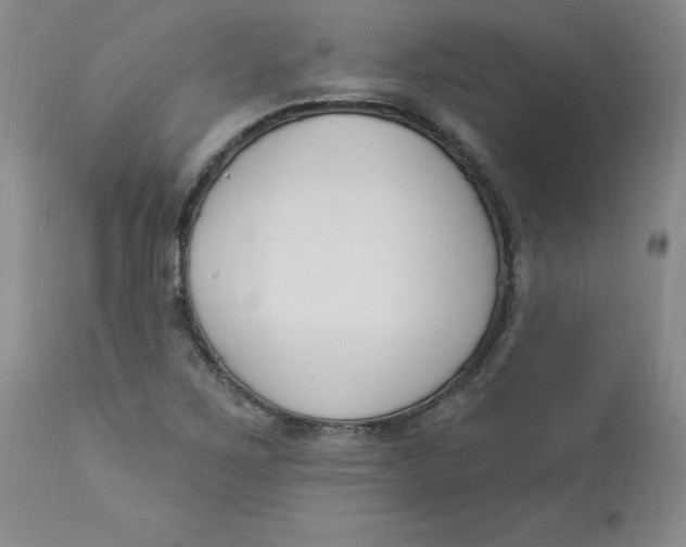 X0000112861267200909111500