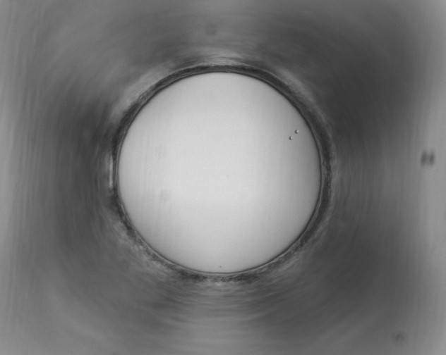 X0000112861269200909111500