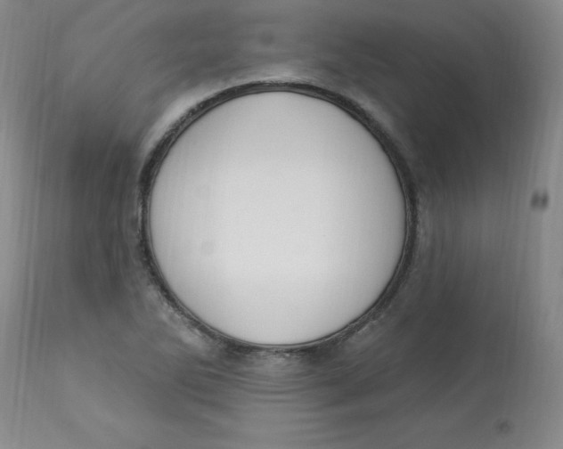 X0000112861270200909111500