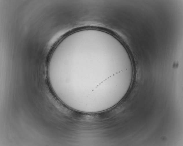 X0000112861271200909111500