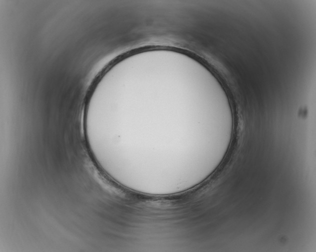 X0000112861272200909111500