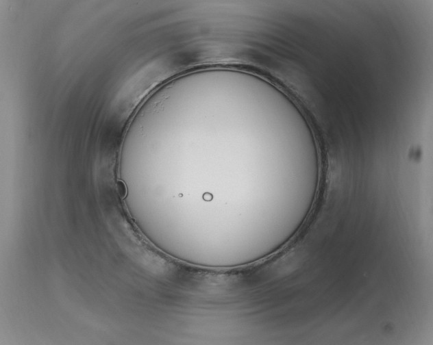 X0000112861273200909111500