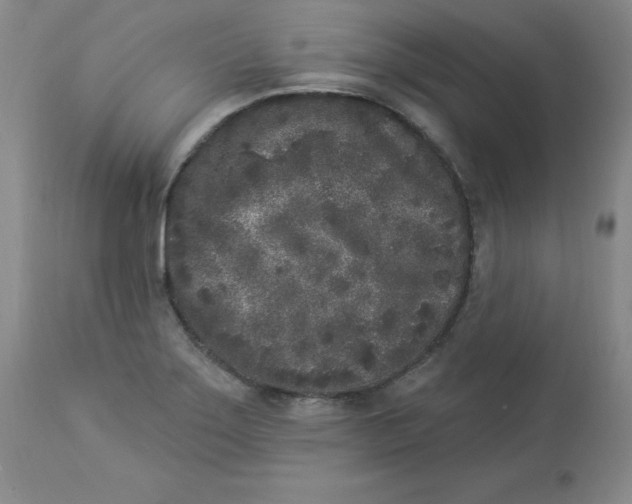 X0000112861275200909111500