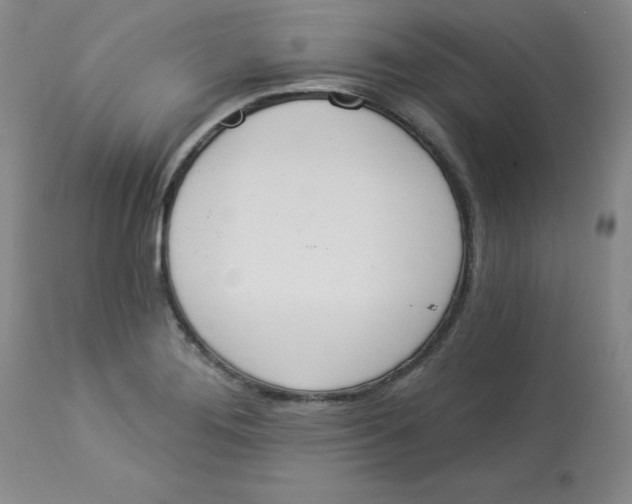 X0000112861276200909111500