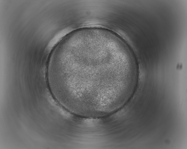 X0000112861277200909111500