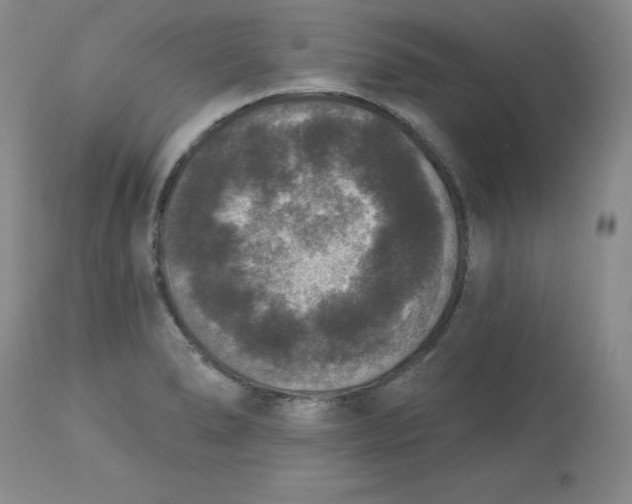 X0000112861278200909111500