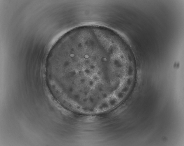 X0000112861279200909111500