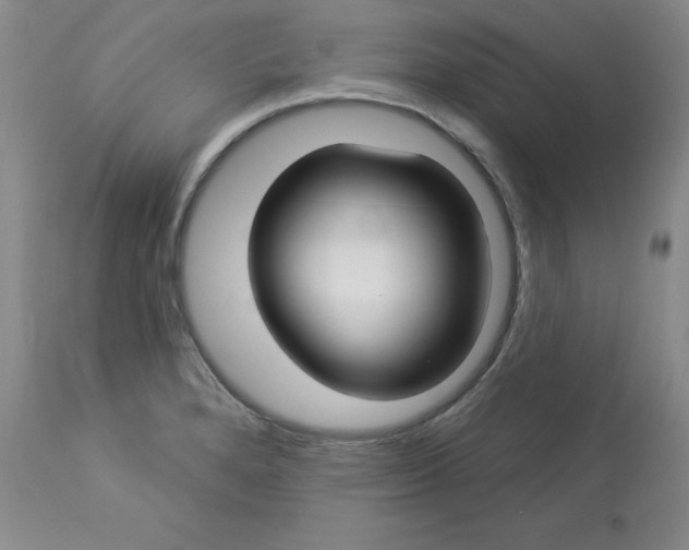 X0000112861280200909111500