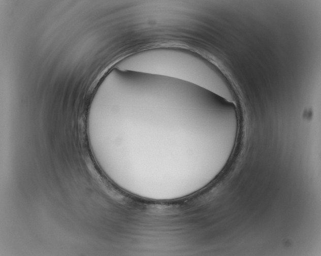 X0000112861281200909111500