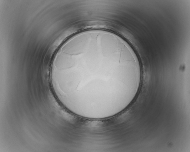 X0000112861282200909111500