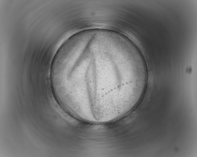 X0000112861283200909111500