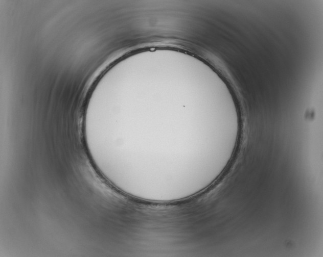 X0000112861284200909111500