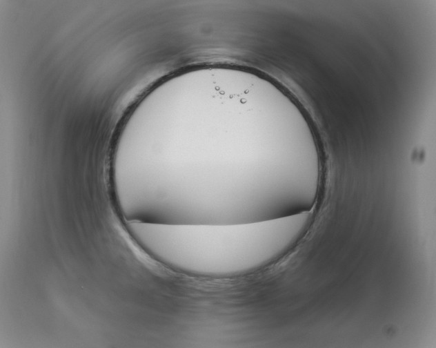 X0000112861285200909111500