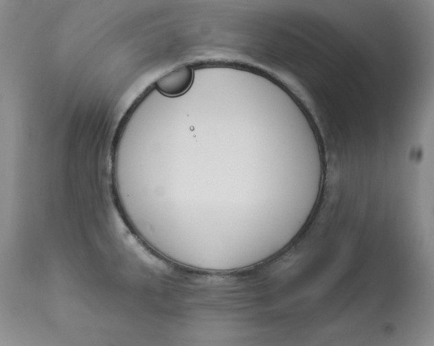 X0000112861287200909111500