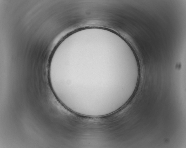 X0000112861288200909111500