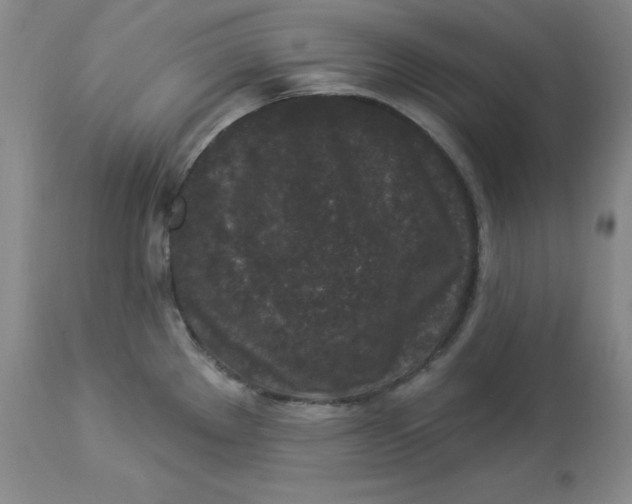 X0000112861289200909111500