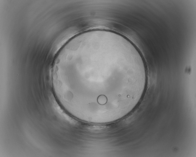 X0000112861290200909111500