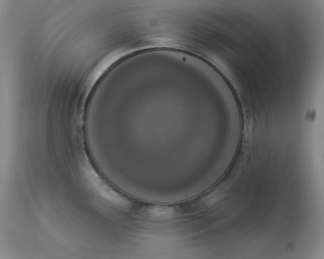 X0000112861291200909111500