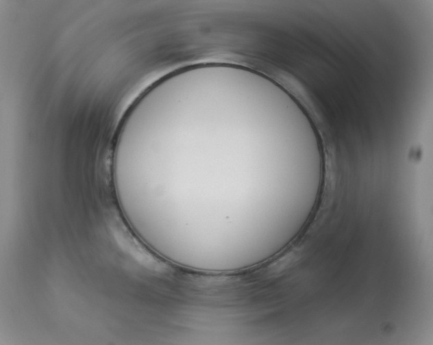 X0000112861292200909111500