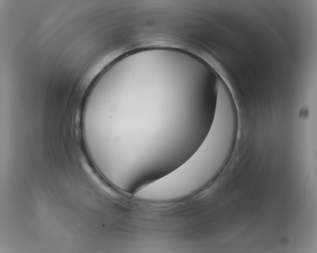 X0000112861293200909111500