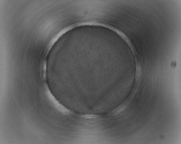 X0000112861295200909111500