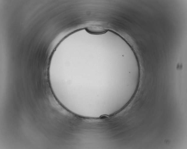 X0000112861296200909111500