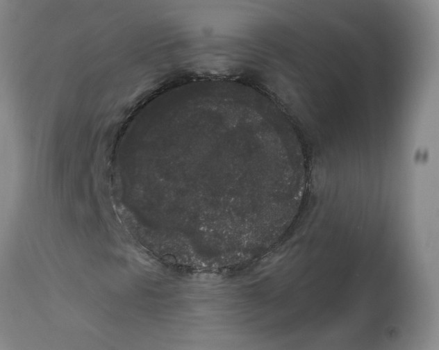 X0000112861297200909111459