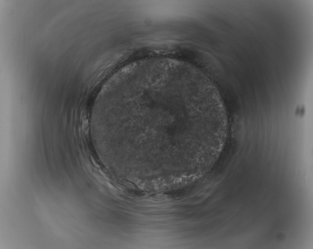 X0000112861298200909111459